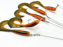 Load image into Gallery viewer, Pandemic Baits - Outbreak A-Rig
