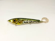 Load image into Gallery viewer, Rig Boss Baits