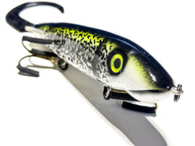 Load image into Gallery viewer, Lucky Tuck Glide Baits