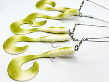 Load image into Gallery viewer, Pandemic Baits - Outbreak A-Rig