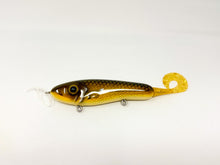 Load image into Gallery viewer, Rig Boss Baits