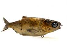 Load image into Gallery viewer, KGB Swimbaits - BRM Exclusive Patterns