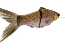 Load image into Gallery viewer, KGB Swimbaits - BRM Exclusive Patterns