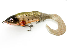 Load image into Gallery viewer, OLT Custom Sucker Bait (Small)