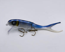 Load image into Gallery viewer, Shallow Invader