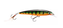 Load image into Gallery viewer, Rapala X-Rap XR-10