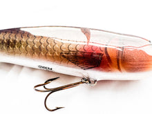Load image into Gallery viewer, Perko Lures - Prime Suspect Pull Bait