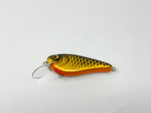 Load image into Gallery viewer, Lynch’ Em Lures - 5” Shads