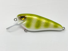 Load image into Gallery viewer, Lynch’ Em Lures - 5” Shads