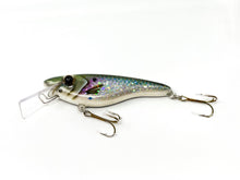 Load image into Gallery viewer, Rig Boss Baits