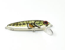 Load image into Gallery viewer, Mega Lures - GS6