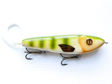 Load image into Gallery viewer, Pandemic Baits - 7” Soft Tail Gliders