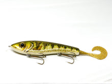 Load image into Gallery viewer, Rig Boss Baits