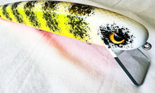 Load image into Gallery viewer, Lynch’ Em Lures - Custom 10” Twitch Baits by Craig Lynch