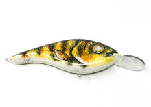 Load image into Gallery viewer, Mega Lure - Gold Digger