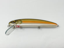 Load image into Gallery viewer, Lynch’ Em Lures - Custom Twitch Baits by Craig Lynch