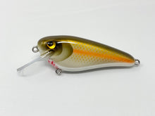 Load image into Gallery viewer, Lynch’ Em Lures - 5” Shads