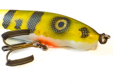 Load image into Gallery viewer, Lucky Tuck Glide Baits

