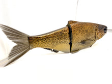 Load image into Gallery viewer, KGB Swimbaits - BRM Exclusive Patterns
