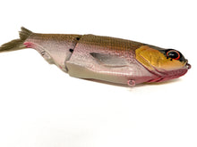 Load image into Gallery viewer, KGB Swimbaits - BRM Exclusive Patterns
