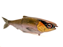 Load image into Gallery viewer, KGB Swimbaits - BRM Exclusive Patterns
