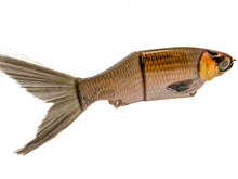 Load image into Gallery viewer, KGB Swimbaits - BRM Exclusive Patterns

