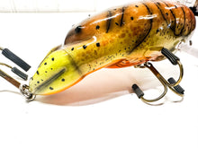 Load image into Gallery viewer, Tony Sites 5” Crankbait
