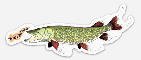 Musky & Fly Decal